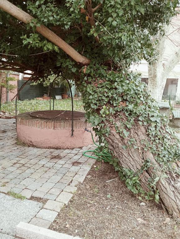 Zahrada ubytování Dimora del Conte