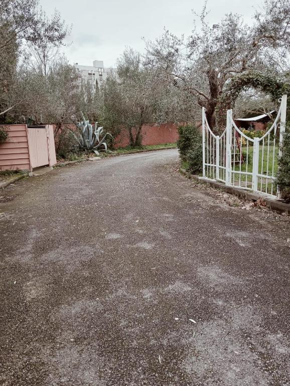 Fotografie z fotogalerie ubytování Dimora del Conte v destinaci Pisa