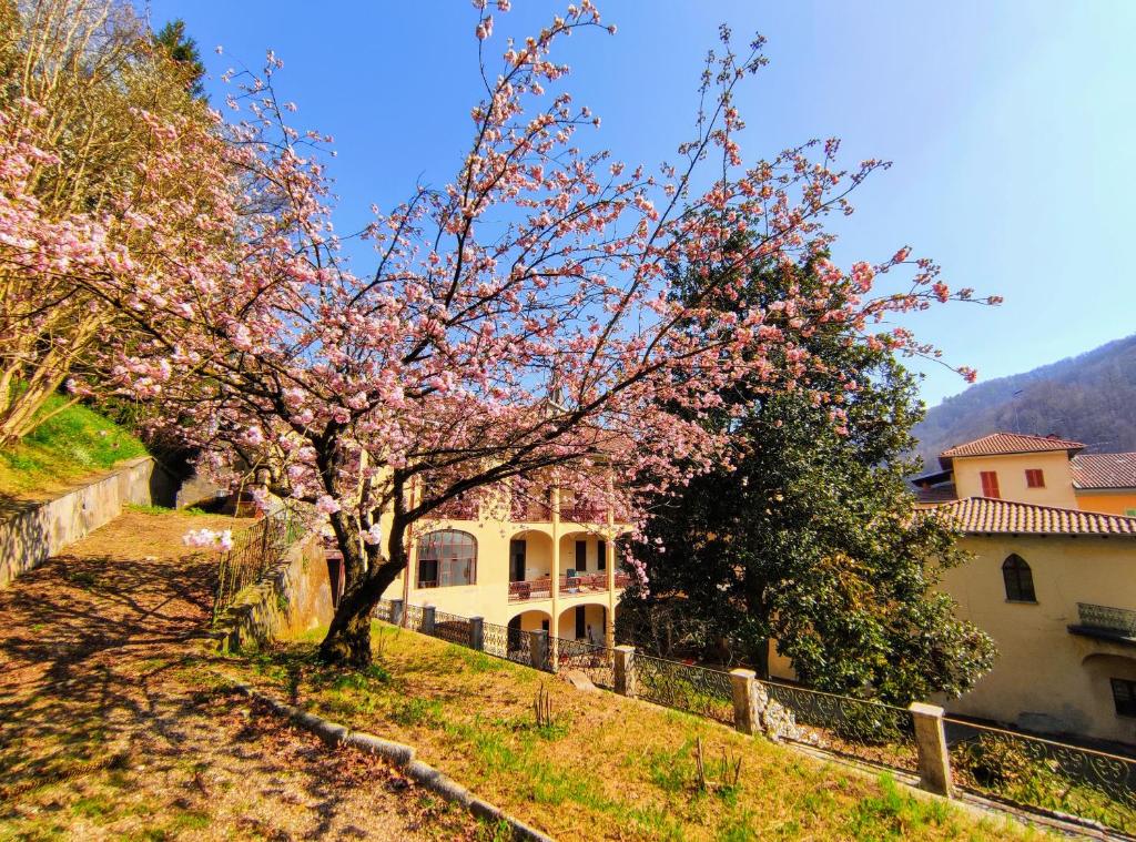 Casa Valduggia - Error