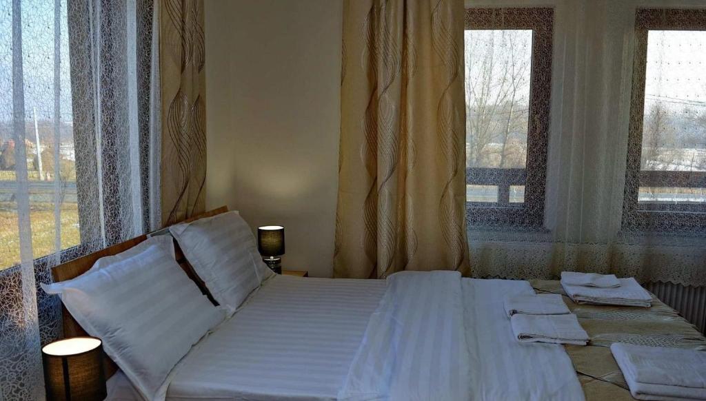 Postel nebo postele na pokoji v ubytování Casa Vădeanu