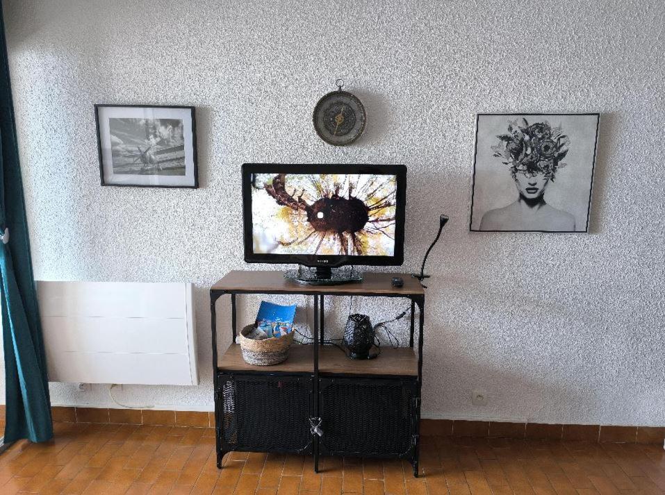 Televízia a/alebo spoločenská miestnosť v ubytovaní Appartement de vacances - Splendide vue sur mer, Parking privé