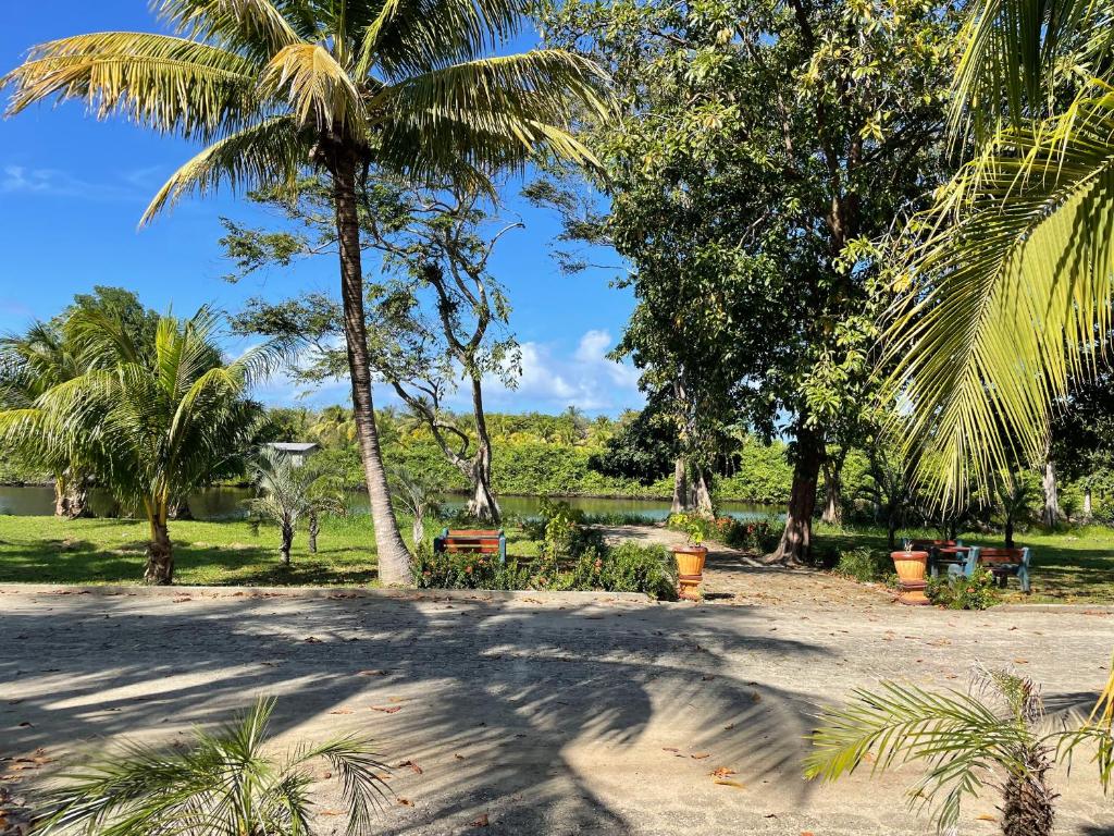 Zahrada ubytování Honduras Shores Plantations