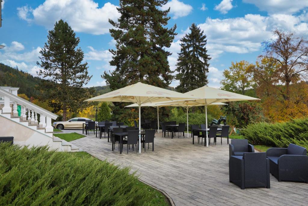 Hotel Château Cihelny - Resim 38