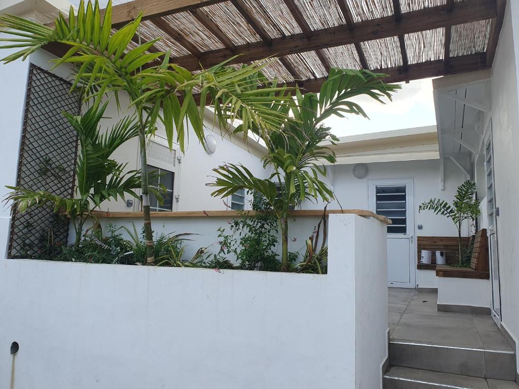 a patio with palm trees on the side of a house at Petit studio bien agencé pour jusqu'à 4 personnes proche de l'hôpital et du centre ville in Saint-Denis