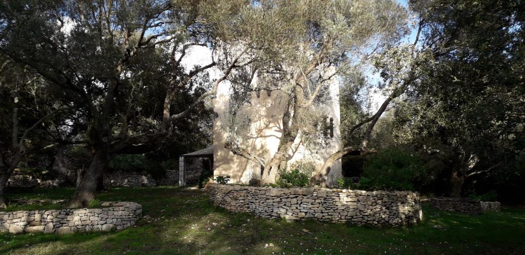 una pared de piedra y árboles en un campo en tour casella, en Bonifacio