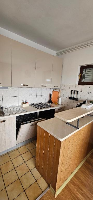 Kuchyň nebo kuchyňský kout v ubytování Apartman Pida