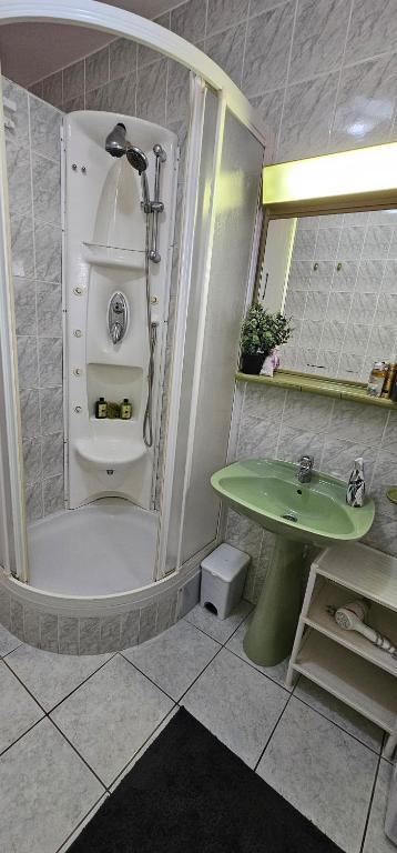 Koupelna v ubytování Apartman Pida