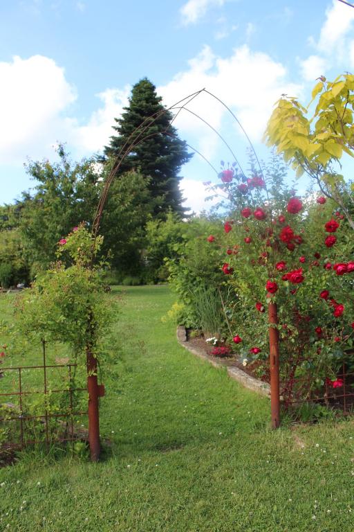 Zahrada ubytování B&B Le Perchoir