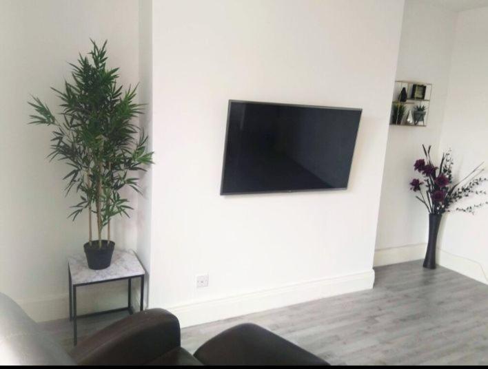Cambois Elegance Beta