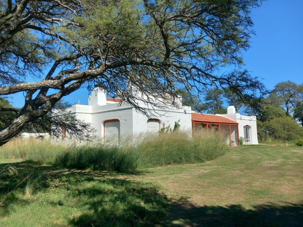 una casa blanca con un árbol en un campo en Pampa Cottage 