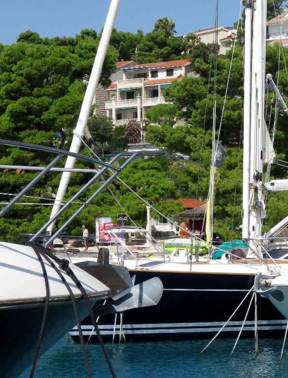 Príroda v okolí apartmánu