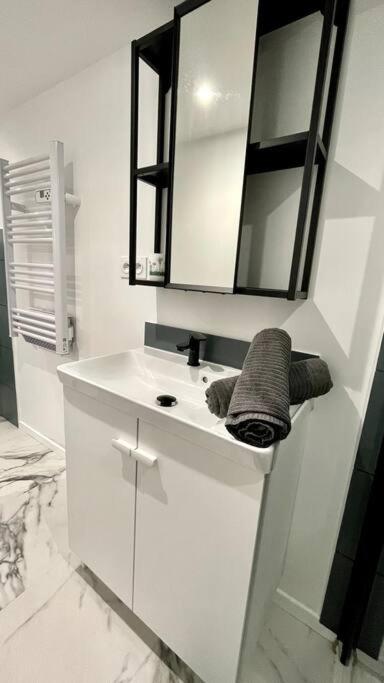 a white bathroom with a sink and a mirror at Maison et appartement attenant pour 10 personnes avec terrasse, cour et parking in Pau