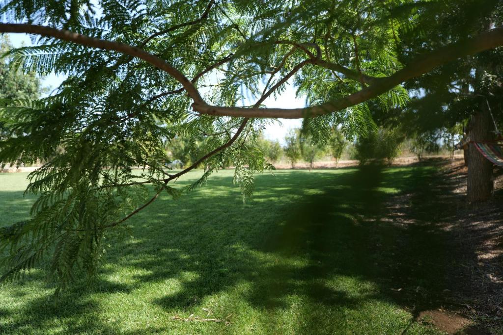 Zahrada ubytování Agriturismo Masseria San Basilio