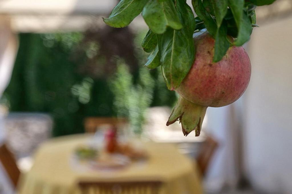 Fotografie z fotogalerie ubytování Agriturismo Masseria San Basilio v destinaci Giurdignano