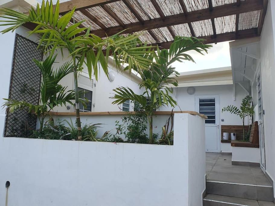 a house with palm trees on the side of it at Studio pour 2 personnes proche de l'hôpital et du jardin de l'état in Saint-Denis