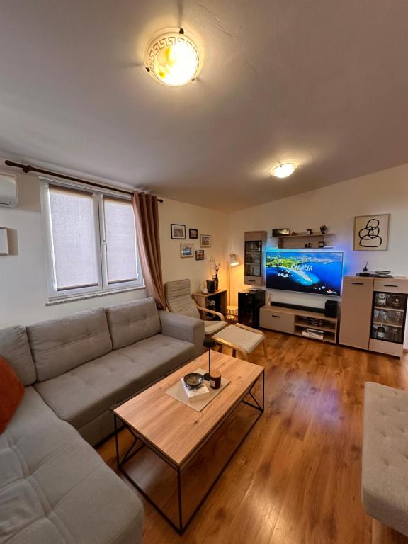 un soggiorno con divano e TV di Apartments Roko a Pridraga
