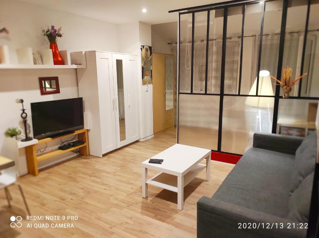 uma sala de estar com um sofá e uma mesa em Appartement idéal visite de Paris em Ivry-sur-Seine
