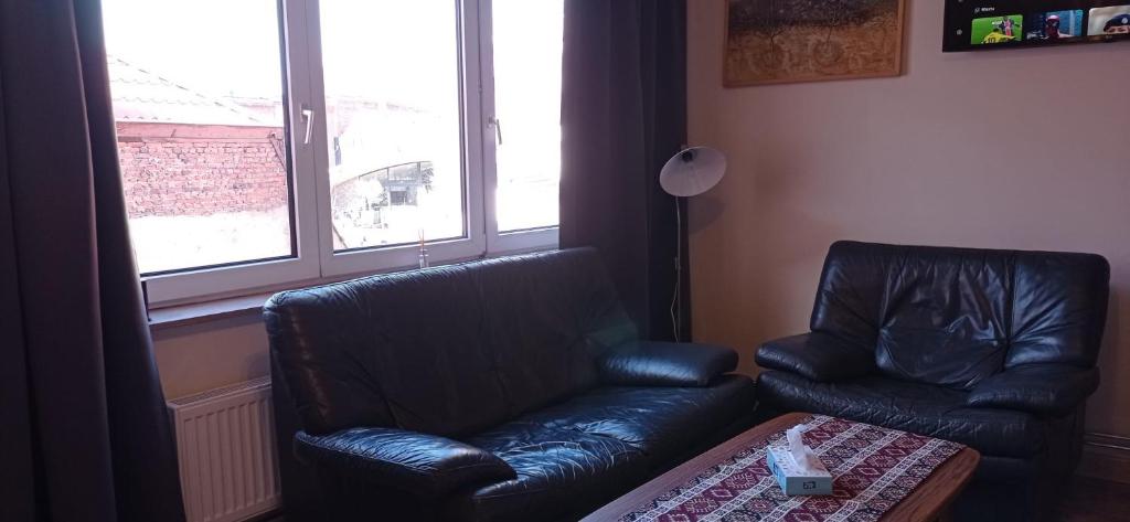 Posezení v ubytování Cozy studio in Hasselt