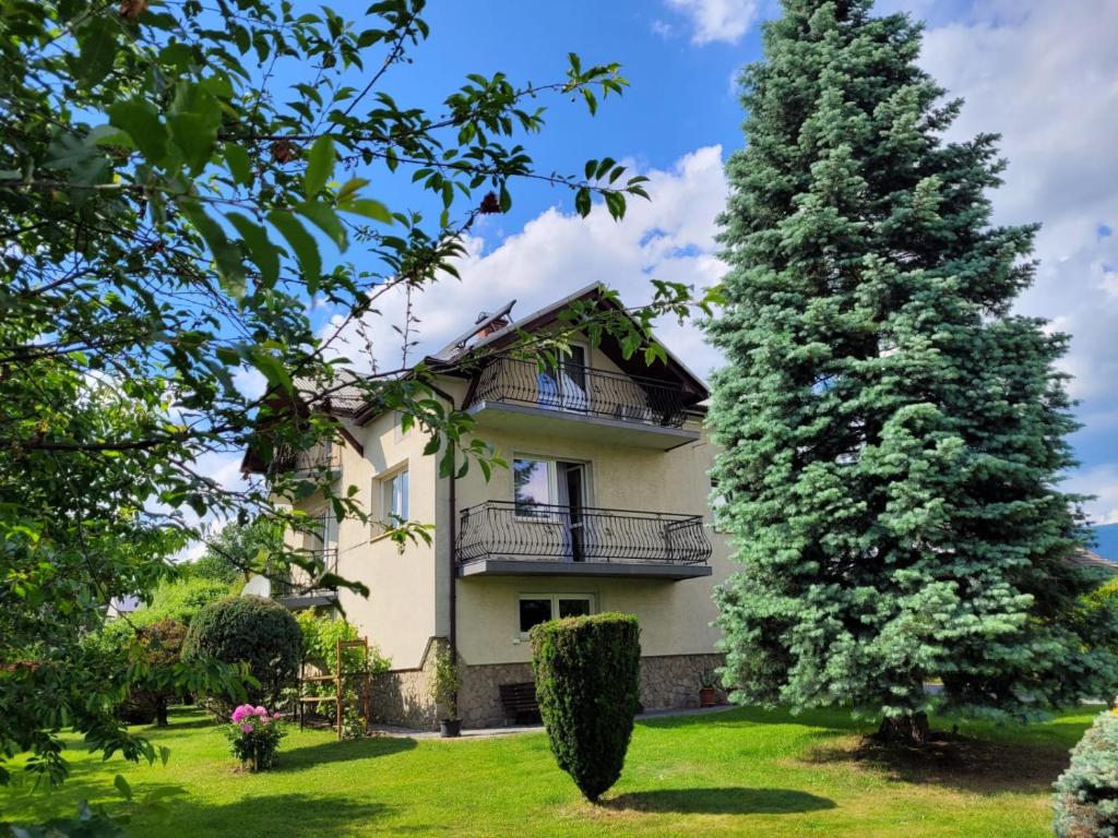a house with a large tree in the yard at Orkana44F in Mszana Dolna
