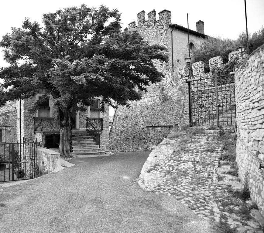 une photo en noir et blanc d'un arbre à côté d'un bâtiment dans l'établissement "Le pietre silenti" antica dimora del 1300', à Nerola