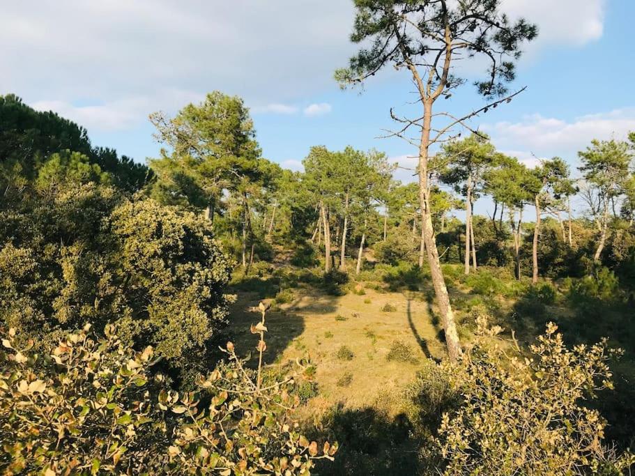 Príroda v okolí dovolenkového domu