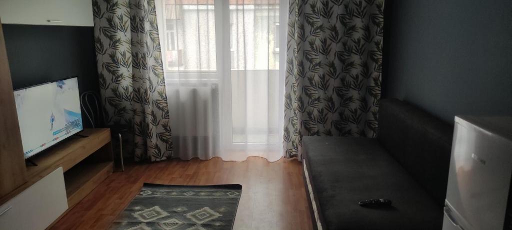 sala de estar con sofá y TV en Apartament în regim Hotelier, en Cavnic