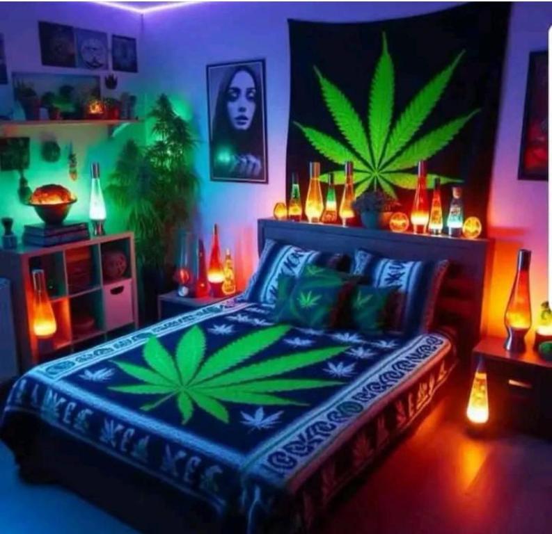 Welkom ketama when hassan في Ketama: غرفة بها سرير والنباتات الخضراء