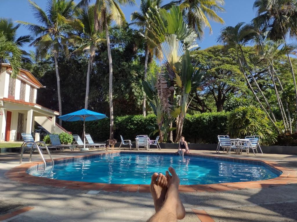 a person laying in a swimming pool with their feet in the water at Casa Sylvie in Sosúa