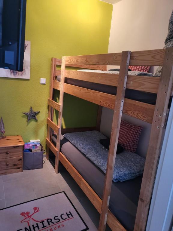 een slaapkamer met een stapelbed en een ladder bij Rosenhirsch Ferienwohnung in Altenau