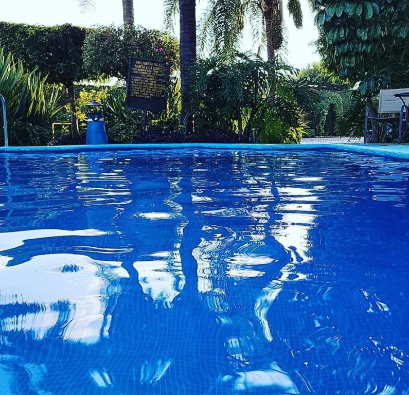 una piscina con agua azul y palmeras en Bungalows vista alegre, en Montoro