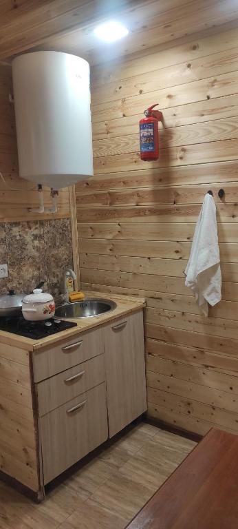 Kuchyň nebo kuchyňský kout v ubytování NAREK B&B
