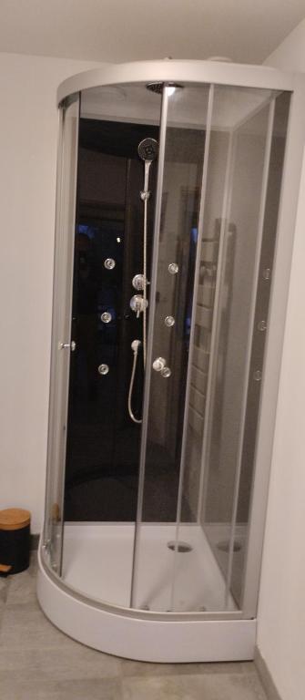 a shower with a glass door in a room at Gite de la longue fosse in Mandeville-en-Bessin