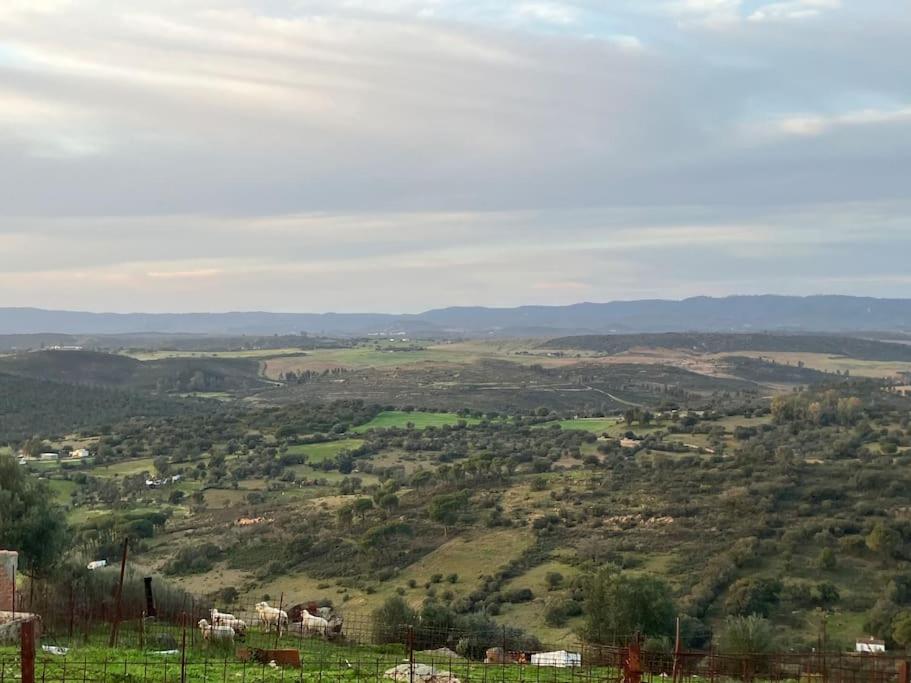 a view of a green field with horses in the distance at Sierra de Huelva-Chalet completo in El Cerro de Andévalo