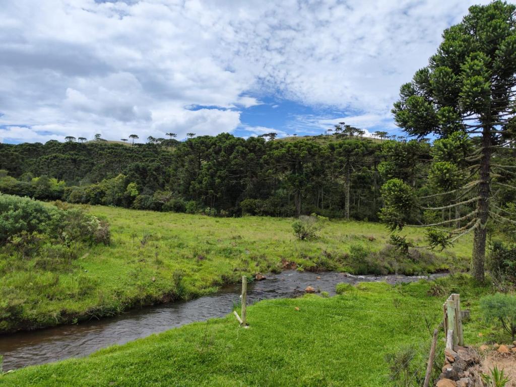a river in a field with trees and grass at Chalé Eco Camping Kazeando Pelo Mundo in Urupema