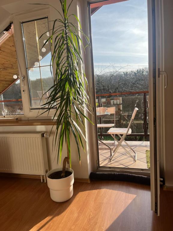 Balkón nebo terasa v ubytování Podkrovní apartmán s balkónem