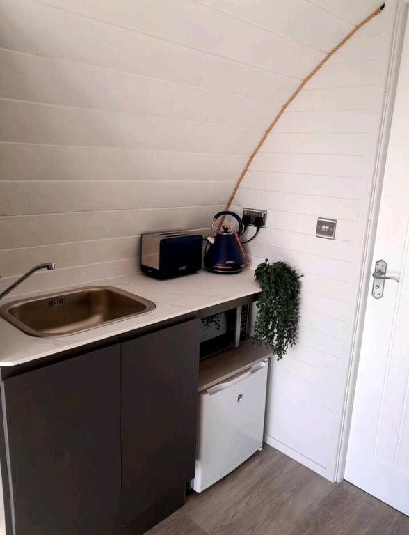 Kuchyň nebo kuchyňský kout v ubytování The Nest