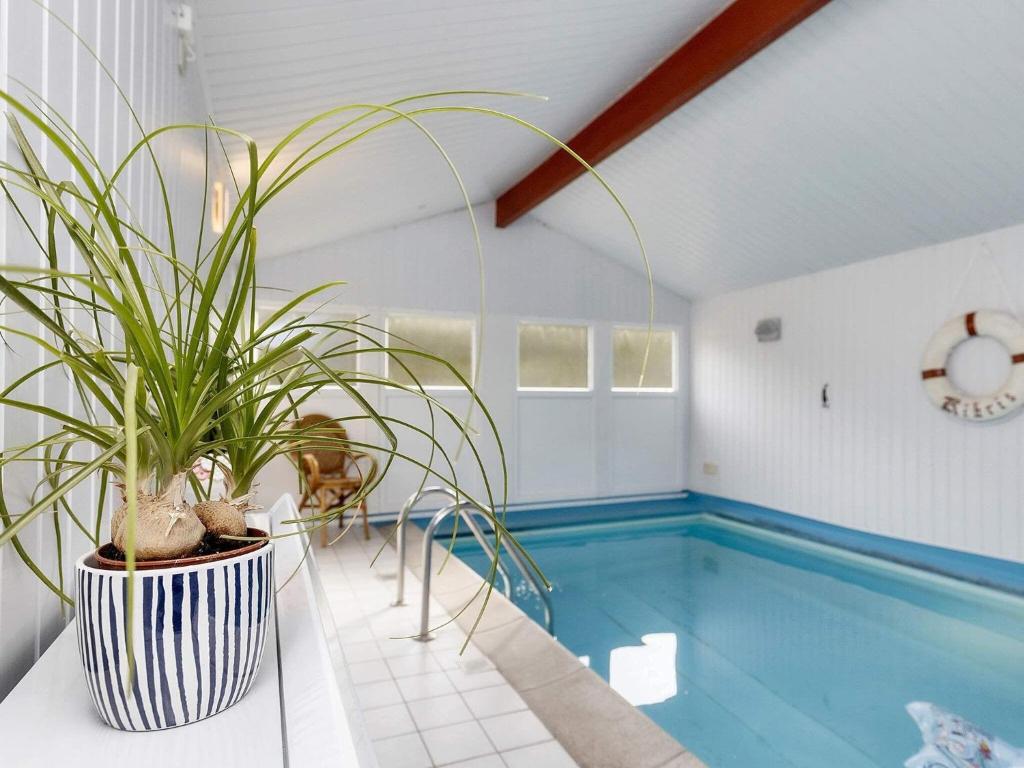a house with a swimming pool with a potted plant at Holiday home Oksbøl XII in Oksbøl