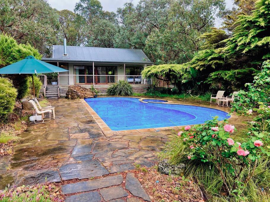 Wonga Park的住宿－A Lovely Pool House in Forest，庭院中带游泳池的房子