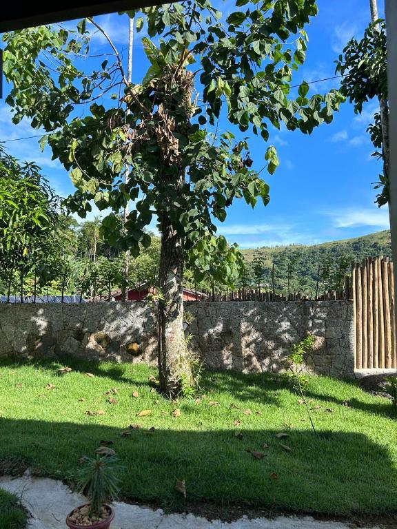 Zahrada ubytování Portogalo suíte com SPA