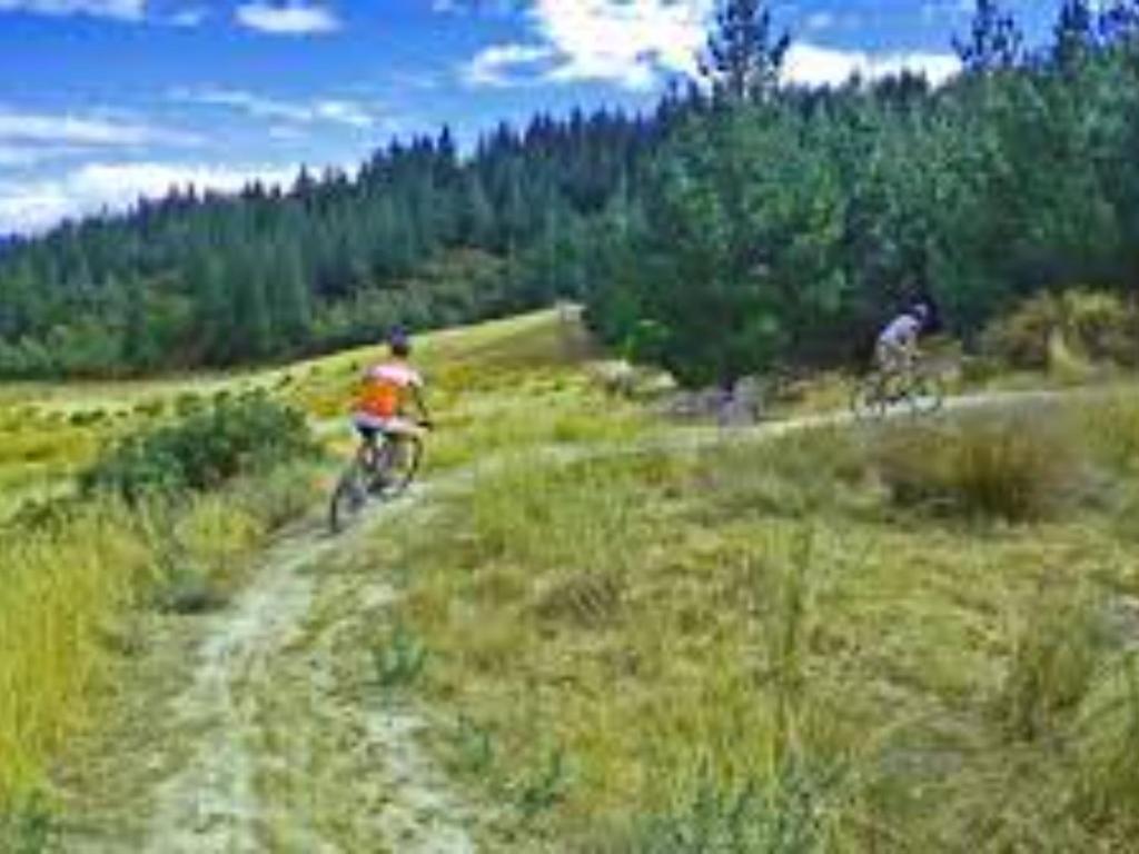 Ashleigh Court Motel - Resim 21