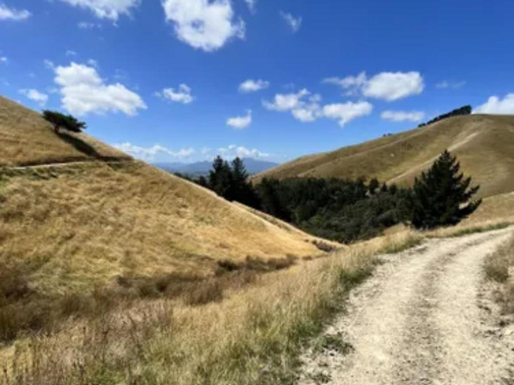 Ashleigh Court Motel - Resim 22