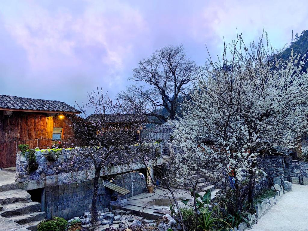 a house with a stone wall and some trees at Nhà Cổ Lao Xa Homestay Hmong in Dồng Văn