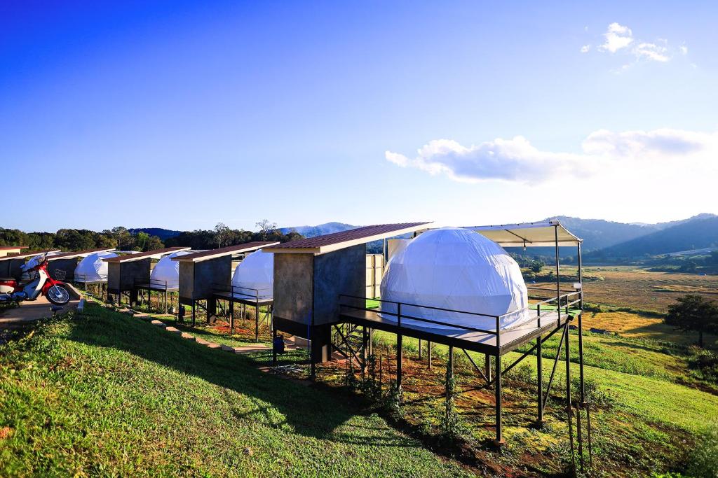 Příroda nedaleko luxury tent