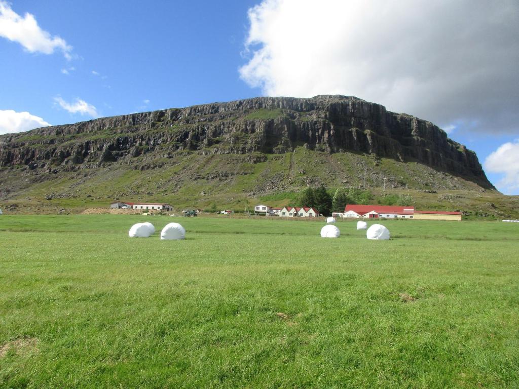 a group of white domes in a field in front of a mountain at Lindarbrekka in Djúpivogur
