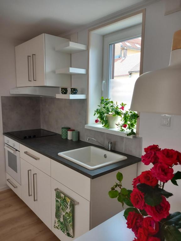 考波什堡的住宿－Zárda utcai Apartman，厨房设有水槽、窗户和红色鲜花