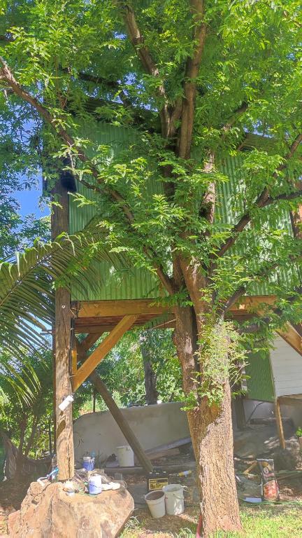 Zahrada ubytování Villa vue exceptionnelle