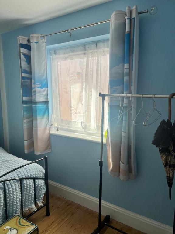 a bedroom with blue walls and a window with curtains at Florita - Dawlish in Dawlish