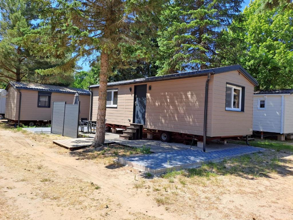 - deux mobile homes garés à côté d'un arbre dans l'établissement Tiny House Lohmen Garder See, à Lohmen