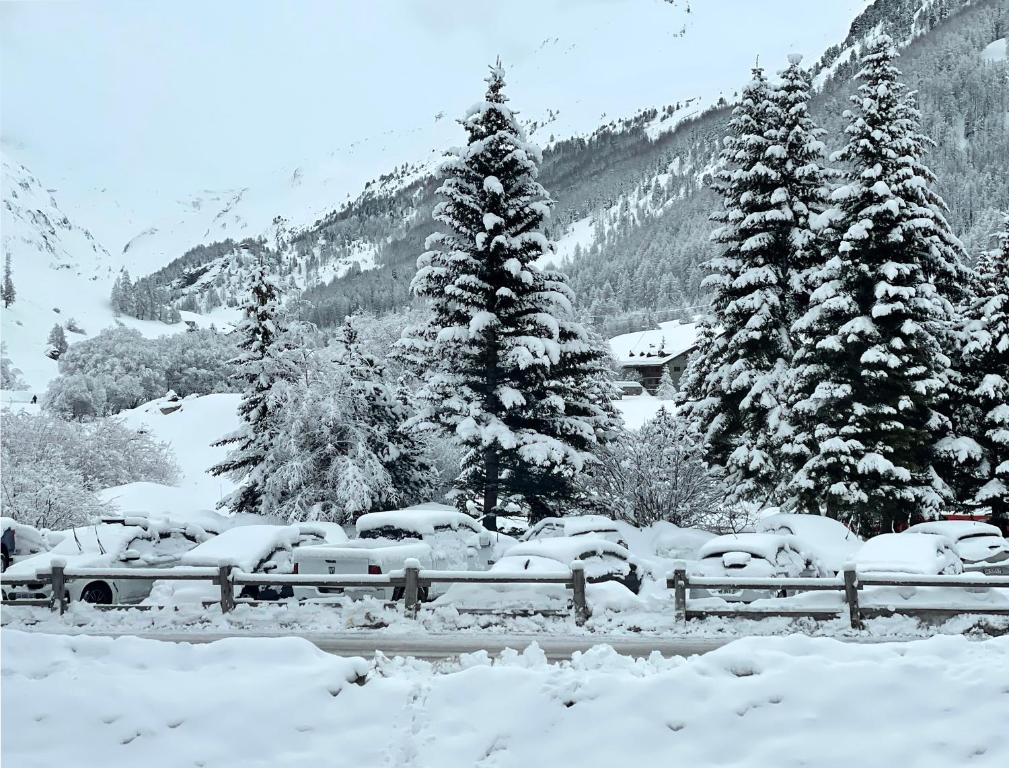 Les Barmettes Appart rénové avec vue, parking et skis aux pieds v zime