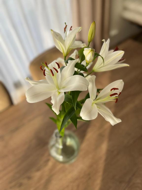 un jarrón lleno de flores blancas en una mesa en Villa plein pied, en Ballan-Miré